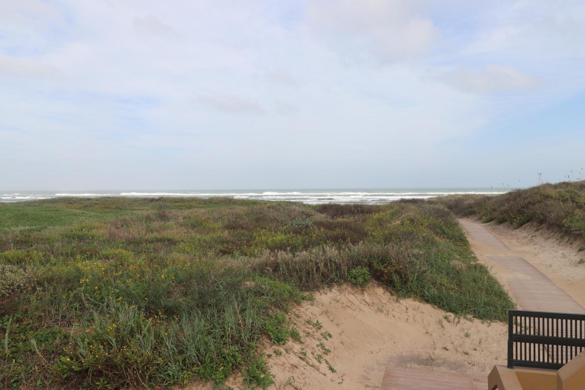 Bridgepoint Condominiums South Padre Island Exterior foto